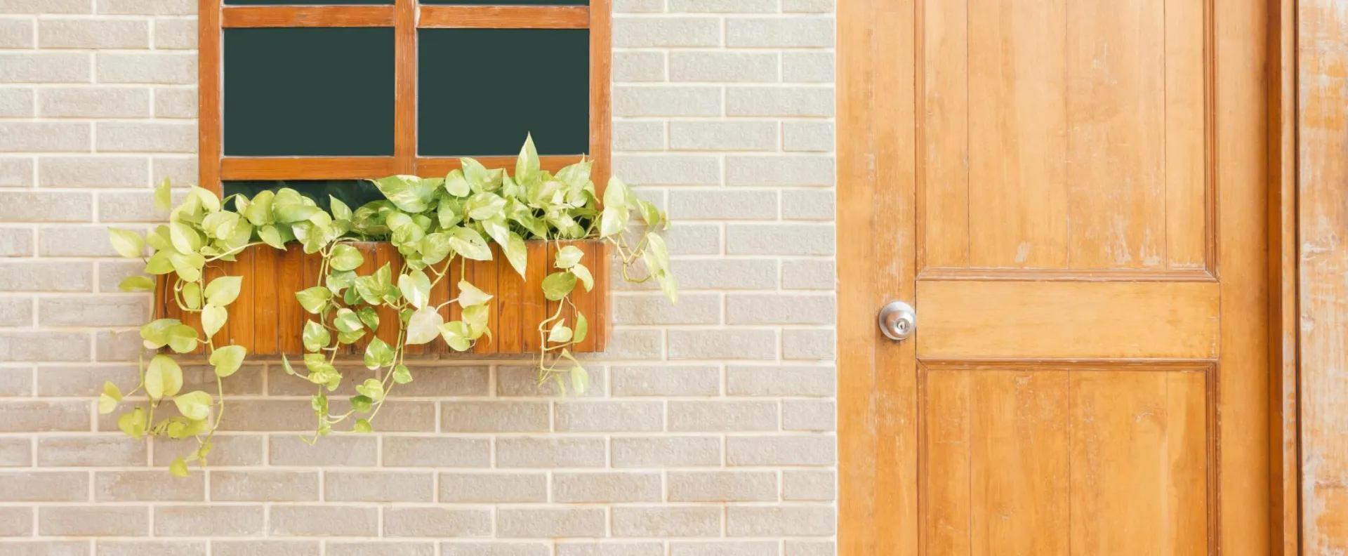 A wooden door and window on a light brick wall adorned with green leafy plants.