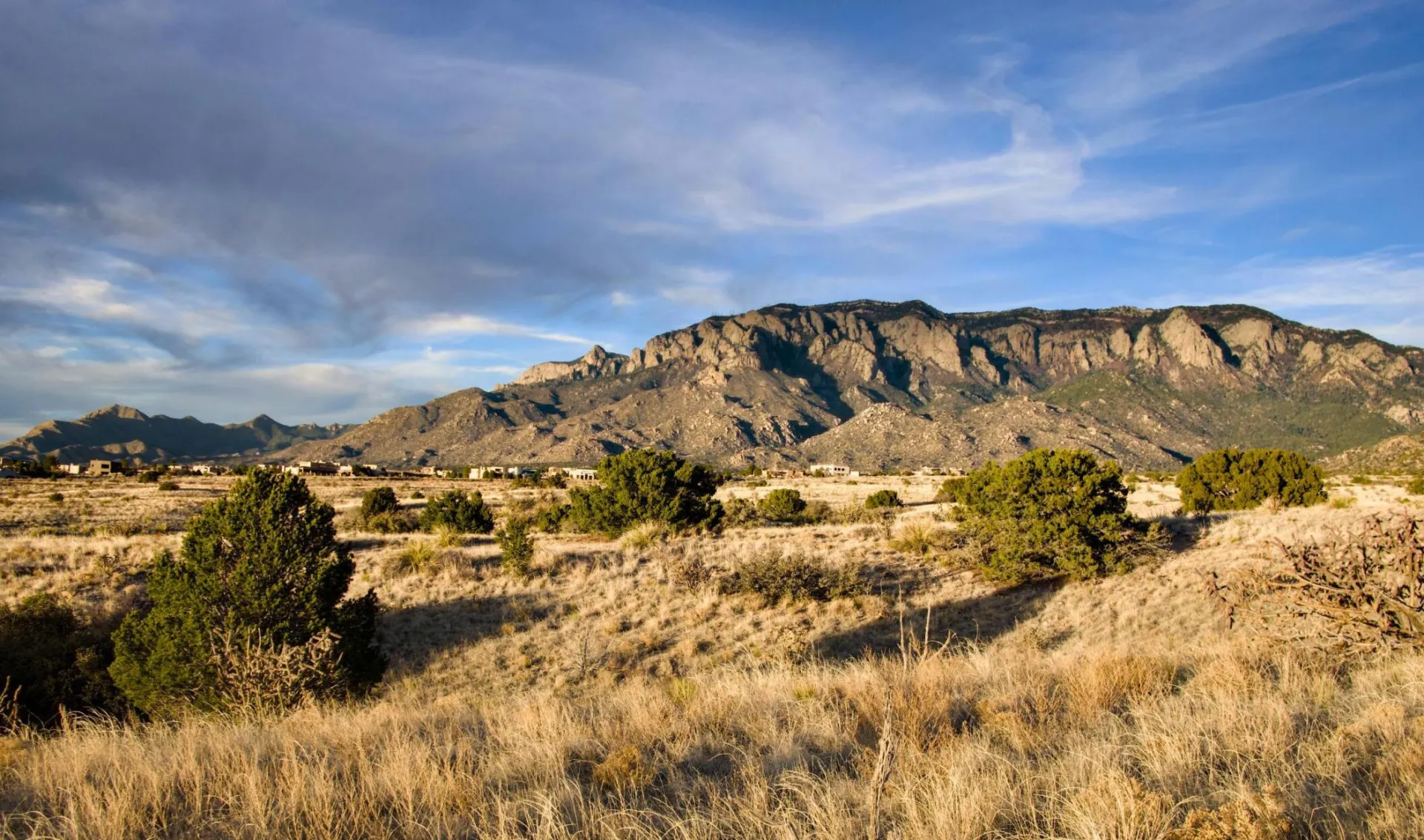 Beautiful view of Sandia Mountains in Albuquerque, New Mexico at sunset with lush desert foreground.