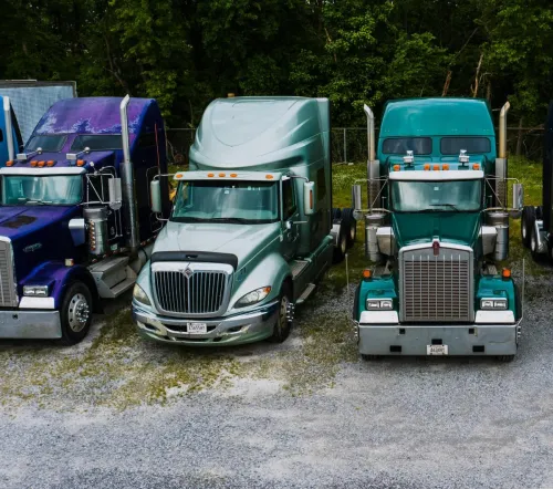 Row of vintage classic trucks of different colors parked on roadside outside warehouse against lush trees