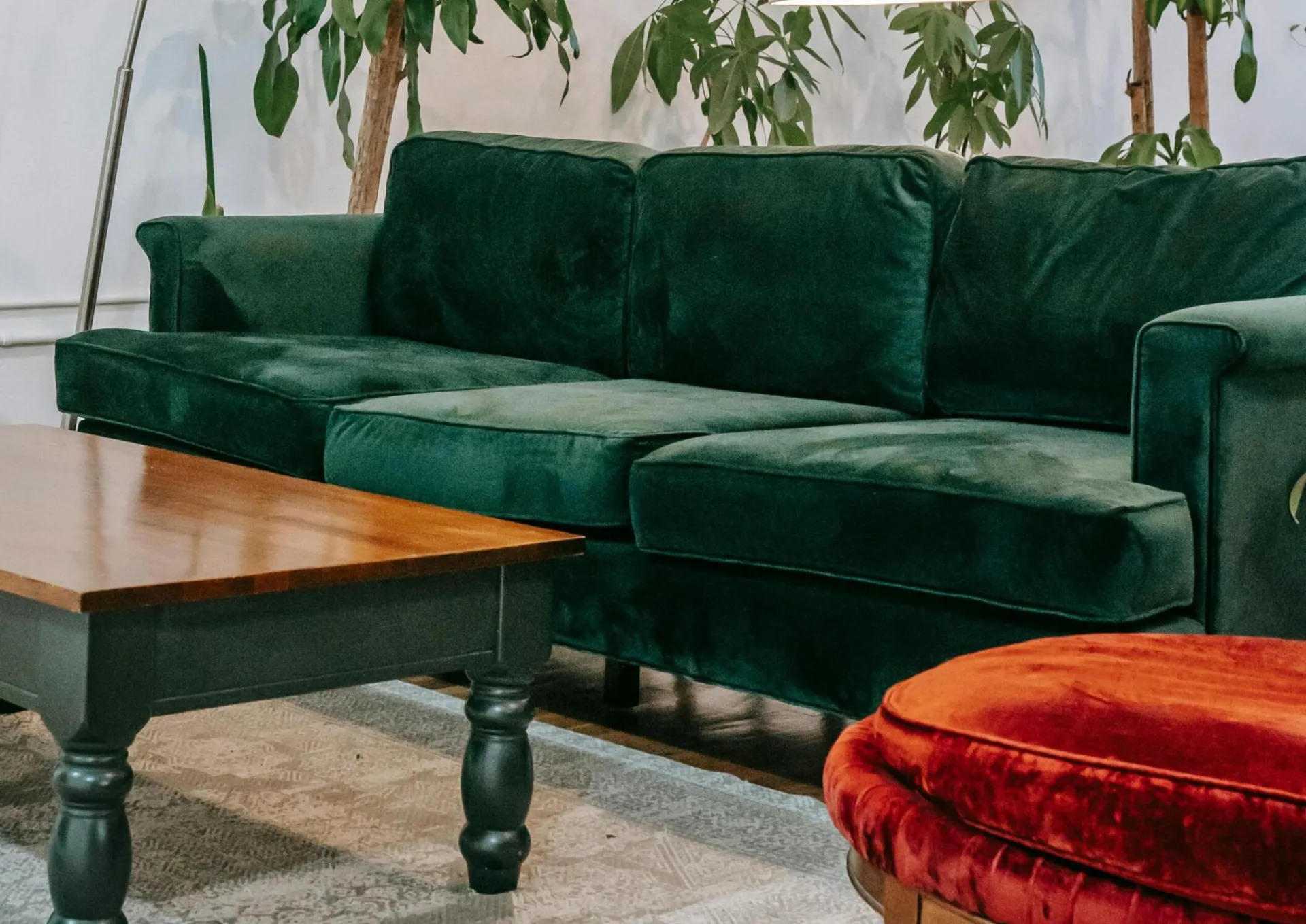 Inviting living room featuring a green velvet sofa, lush indoor plants, and a modern aesthetic.