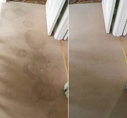 Pet stains removed