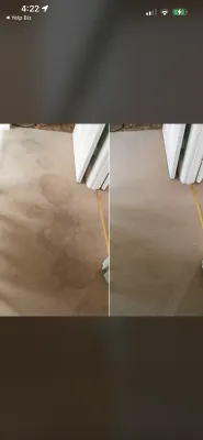 Pet stains removed