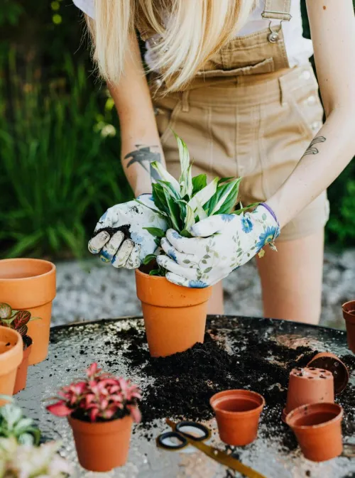 A woman plants greenery in pots on a sunny day, showcasing home gardening.