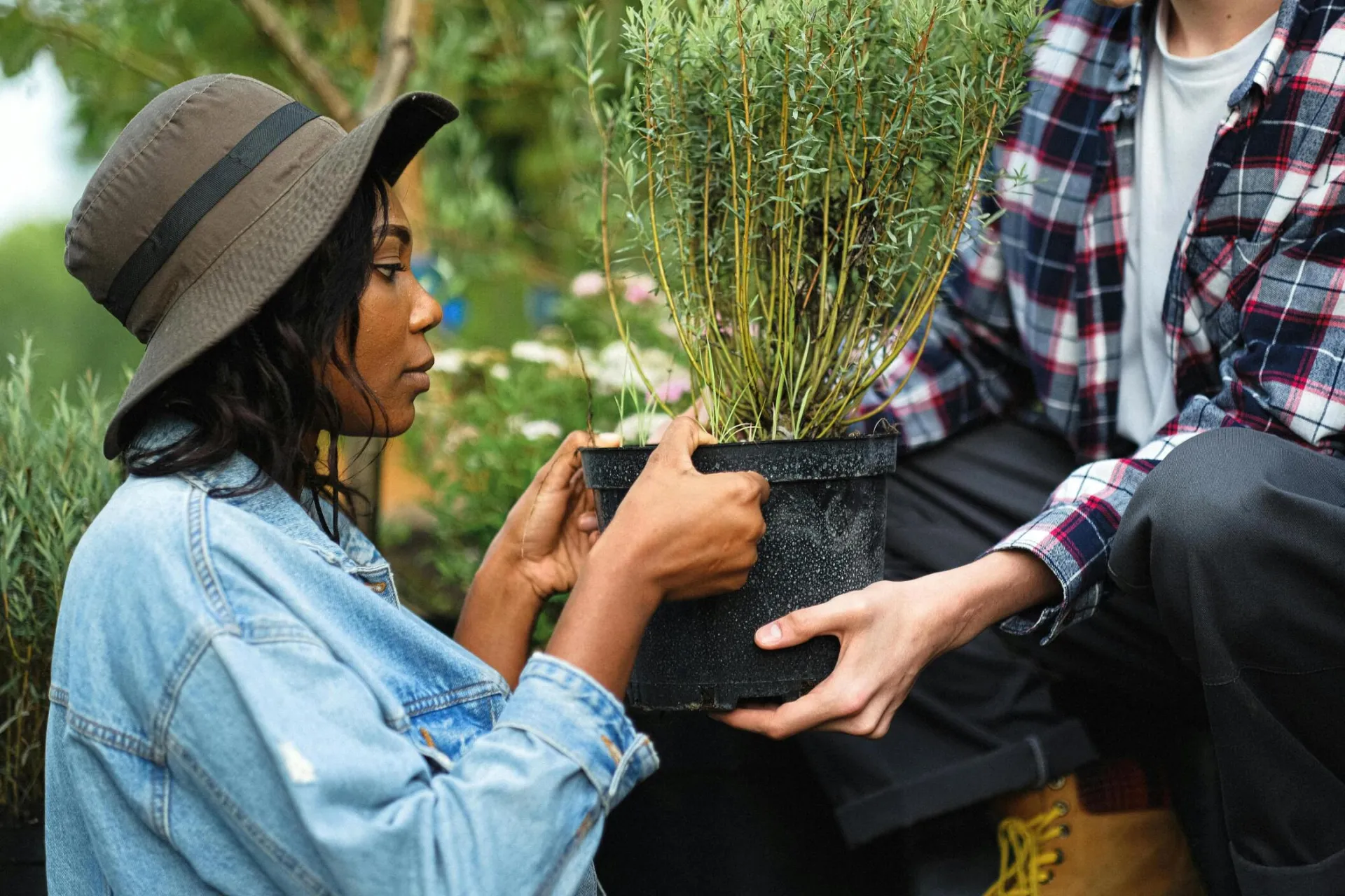 Two individuals exchanging a potted plant outdoors, highlighting teamwork in gardening.