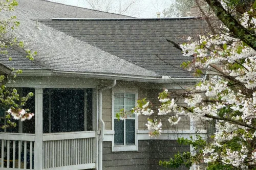 A serene view of rainfall above a wooden balcony near blossoming trees on a cloudy spring day.