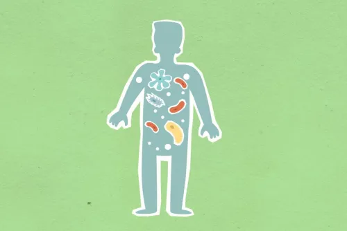 From above of cutout cardboard illustration of person with different bacteria spreading in body on green background