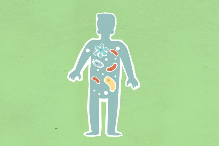 From above of cutout cardboard illustration of person with different bacteria spreading in body on green background
