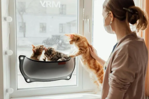 A woman wearing a mask looks at three cats lounging by the window, reflecting a cozy indoor scene.