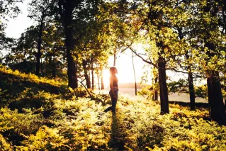 Woman walking in a sunlit forest during golden hour, capturing nature's beauty.