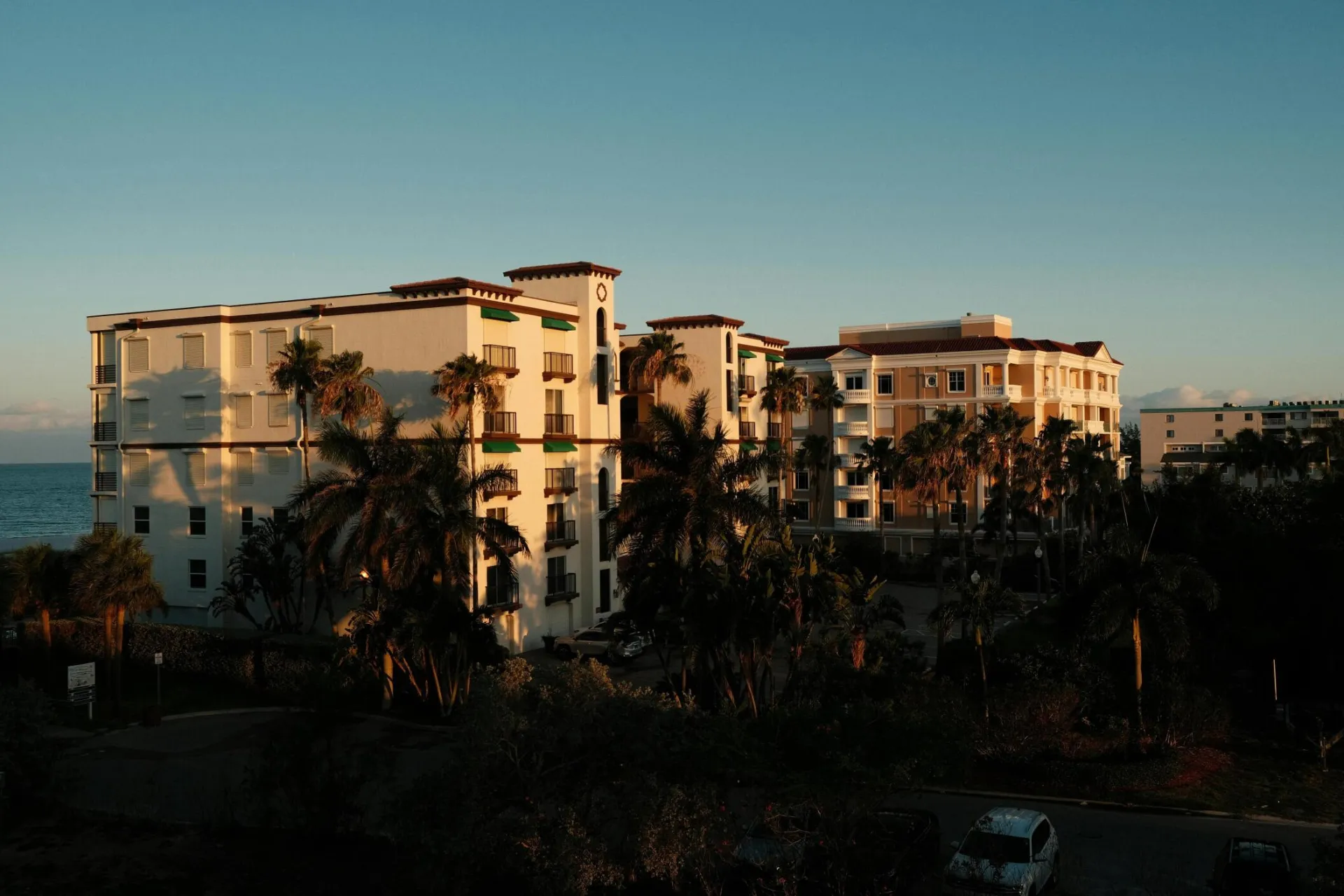 Sunlit residential buildings with palm trees in St. Petersburg, FL.