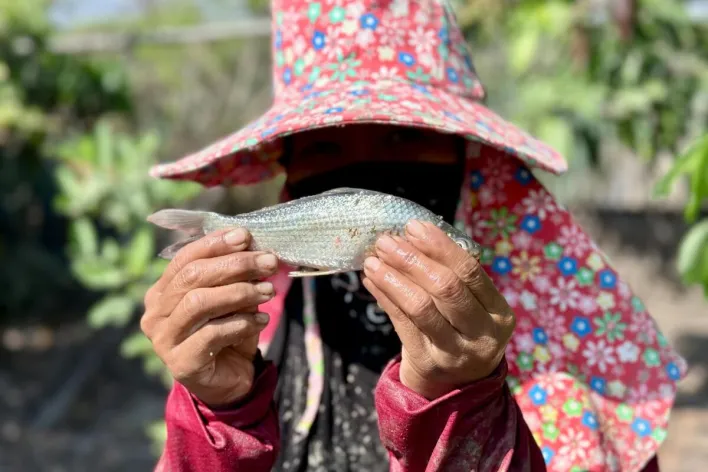 A person holding a fish in Chiang Mai, showcasing local fishing methods.