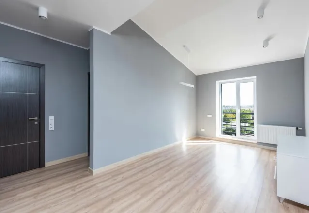 Bright, spacious minimalist room with wooden flooring and large window view.
