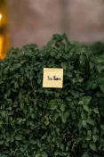 Close-up of a motivational note saying 'You Matter' on a lush green shrub, Dubai.