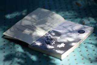 An open book on a dotted surface with artistic shadows cast by sunlight.