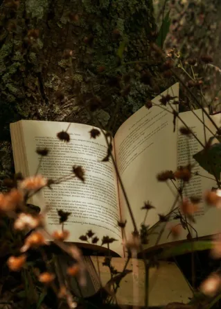 A peaceful scene of an open book resting against a tree trunk with sunlight filtering through plants.