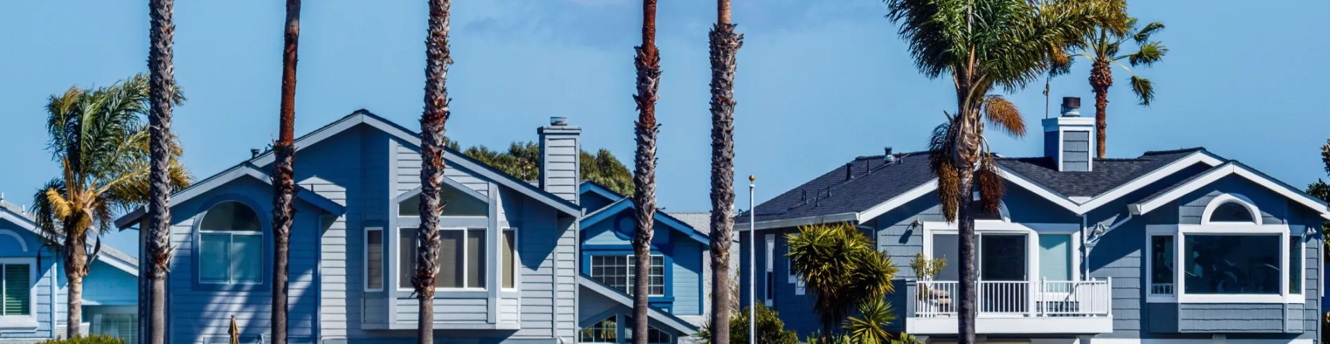 Serene seaside neighborhood with palm trees and charming houses under a clear blue sky.