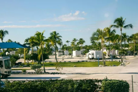 A tropical RV park with palm trees under a bright blue sky, perfect for summer travel.