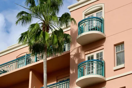 A sunny day view of a modern apartment building with a palm tree.