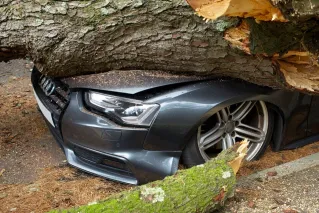 A vehicle damaged by a fallen tree after an accident in the United Kingdom.
