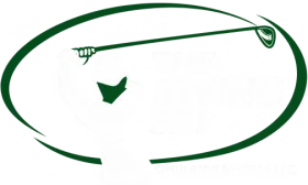 The Swing Set Simulator Rentals